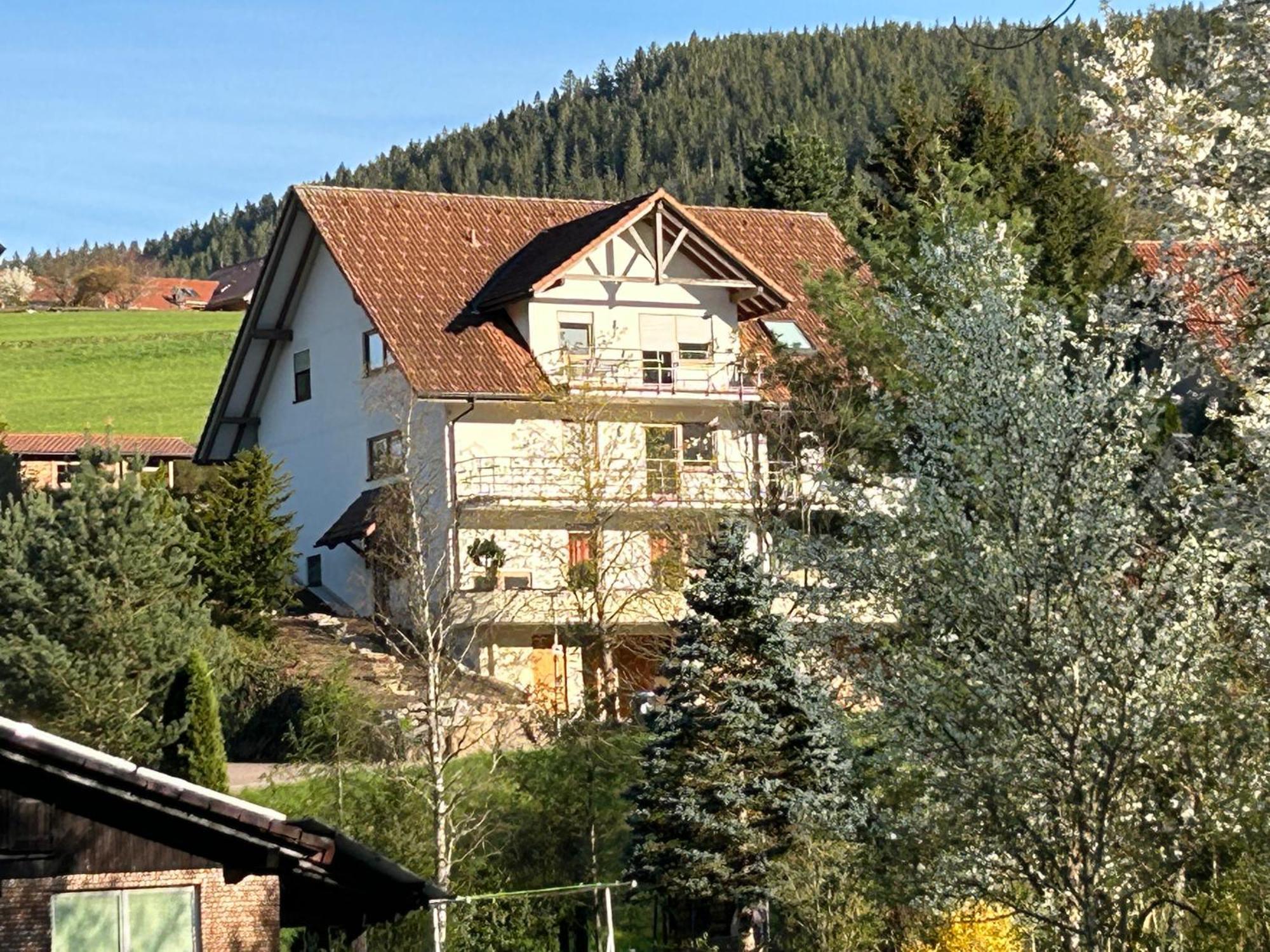 Am Baumgarten Baiersbronn Exterior foto
